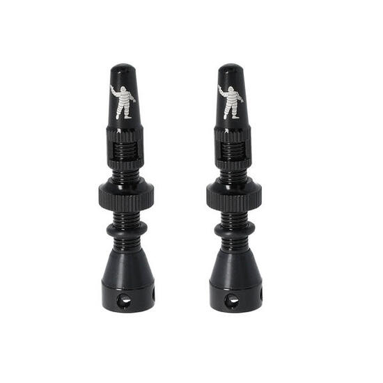 Tubeless-Ventil Michelin (x2)