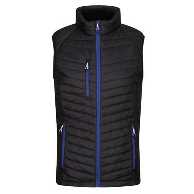 Heren gewatteerd hybride gilet (zwart/nieuw royal)