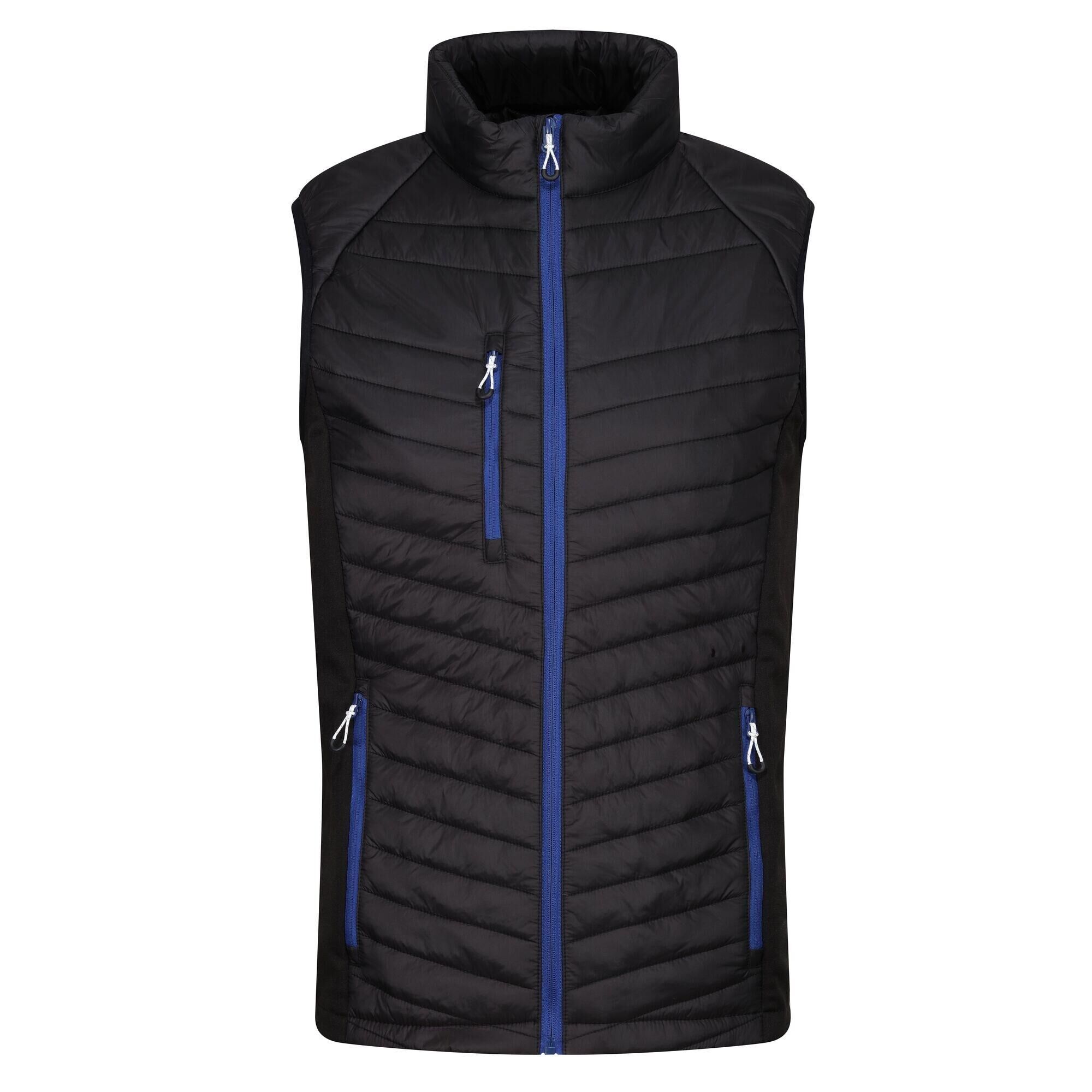 REGATTA Mens Navigate Quilted Hybrid Gilet (Black/New Royal)