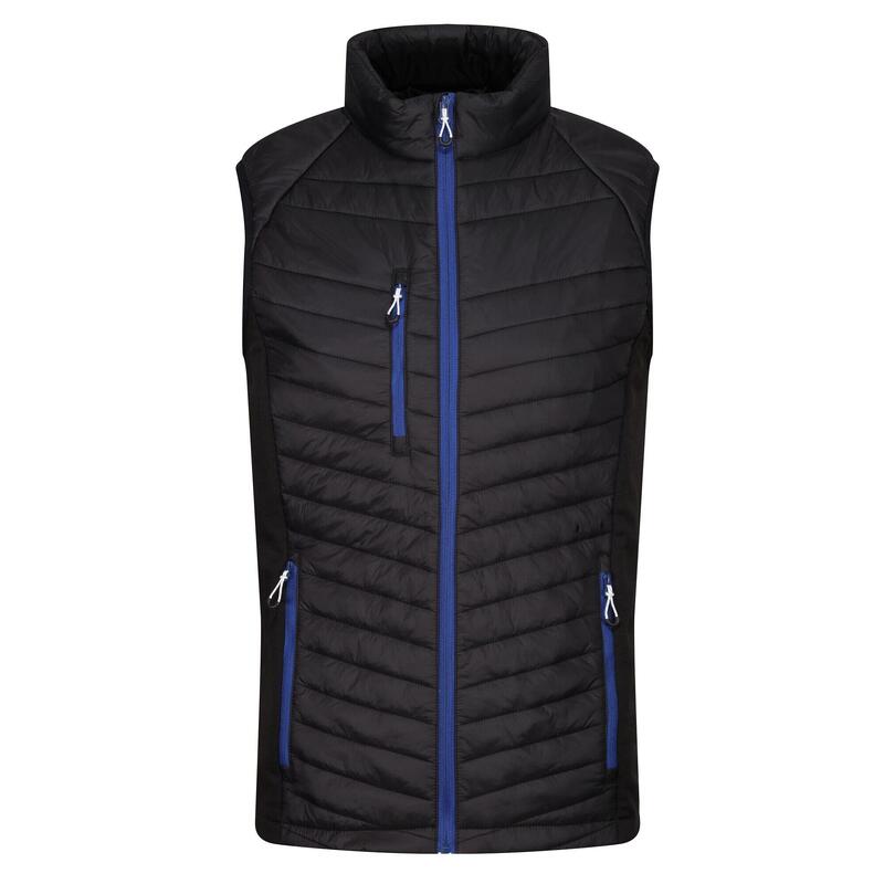 Heren Navigate Gewatteerd Hybride Gilet (Zwart/Nieuw Royal)