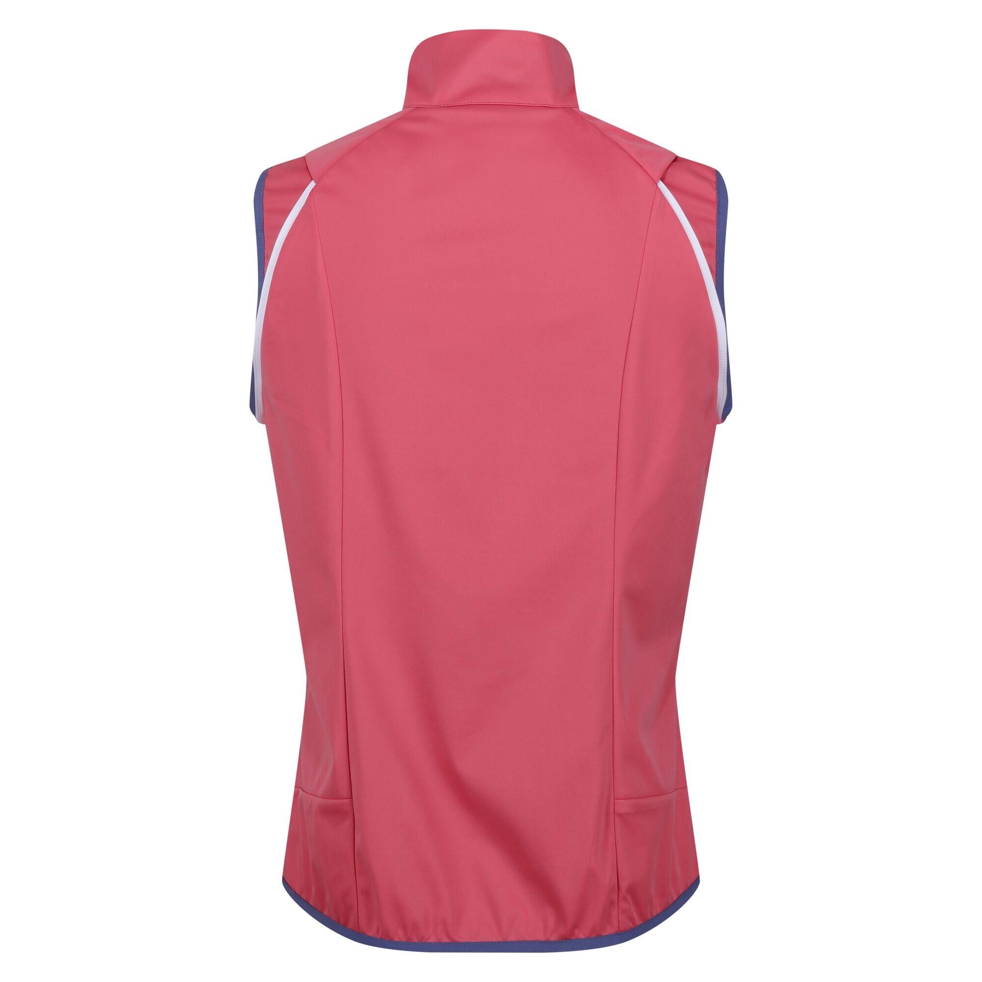 Womens/Ladies Steren Hybrid Jacket (Fruit ) 4/5