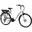 E-Moon 26" bicicletta elettrica, per adulti, telaio in alluminio, cambio Shimano