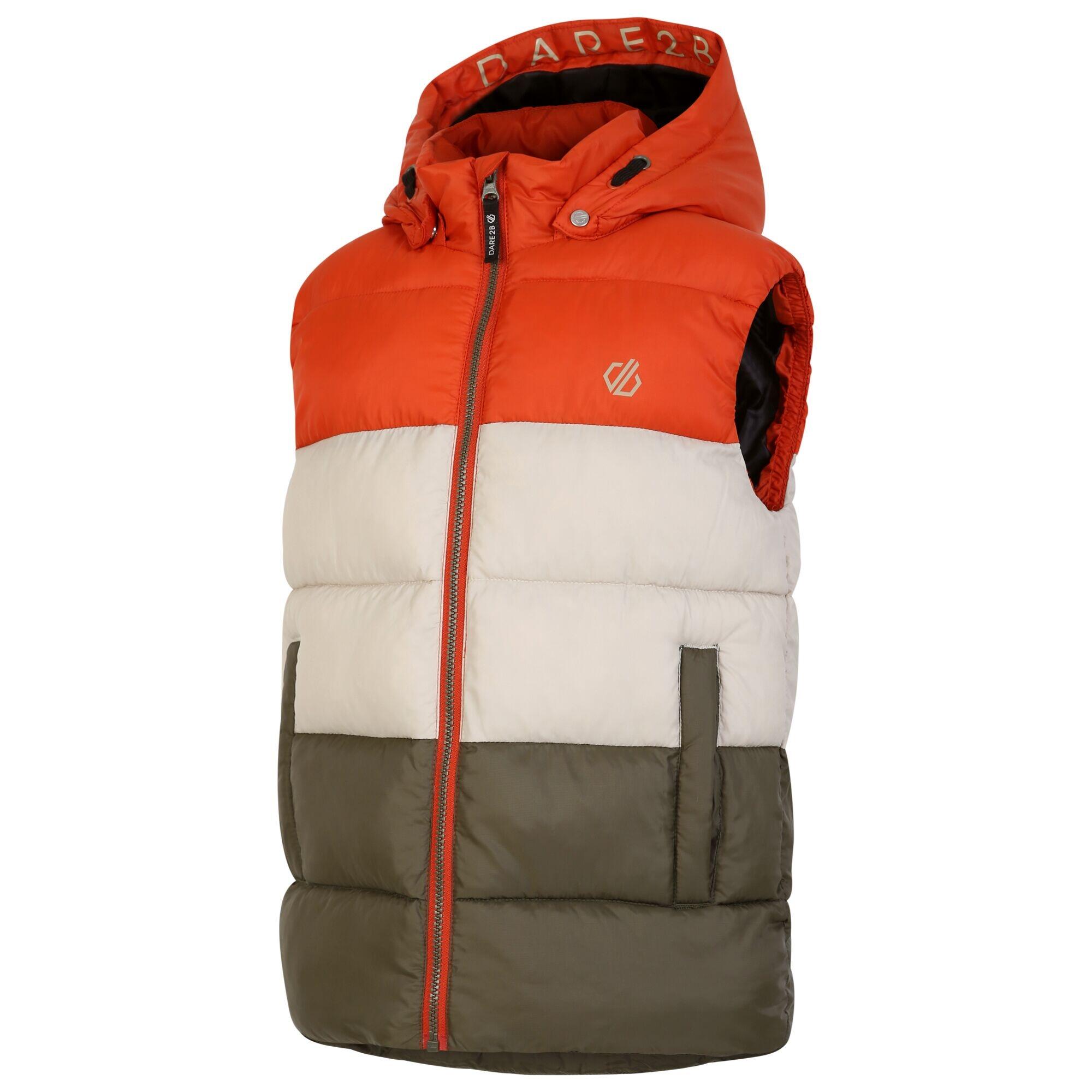 Childrens/Kids Jolly Padded Gilet (Rooibos Tea/Lichen Green) 3/5