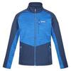 Veste softshell FARSON Homme (Bleu amiral / Bleu clair)