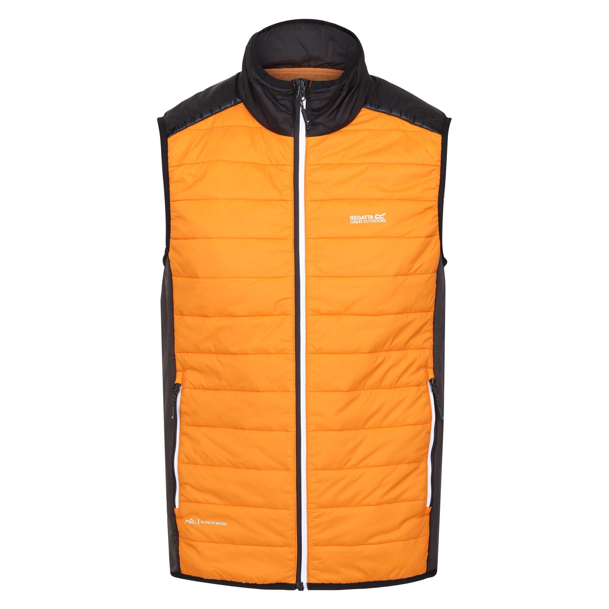 HALTON Men's sleeveless jacket (Orange / Black)