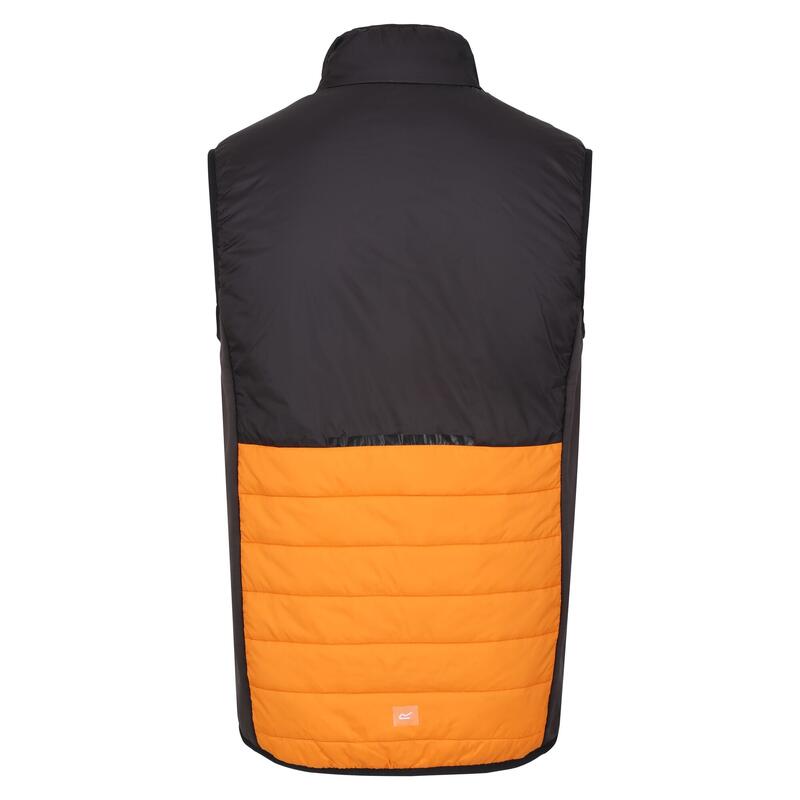 Colete acolchoado Halton VII para homem Pimenta laranja/preto