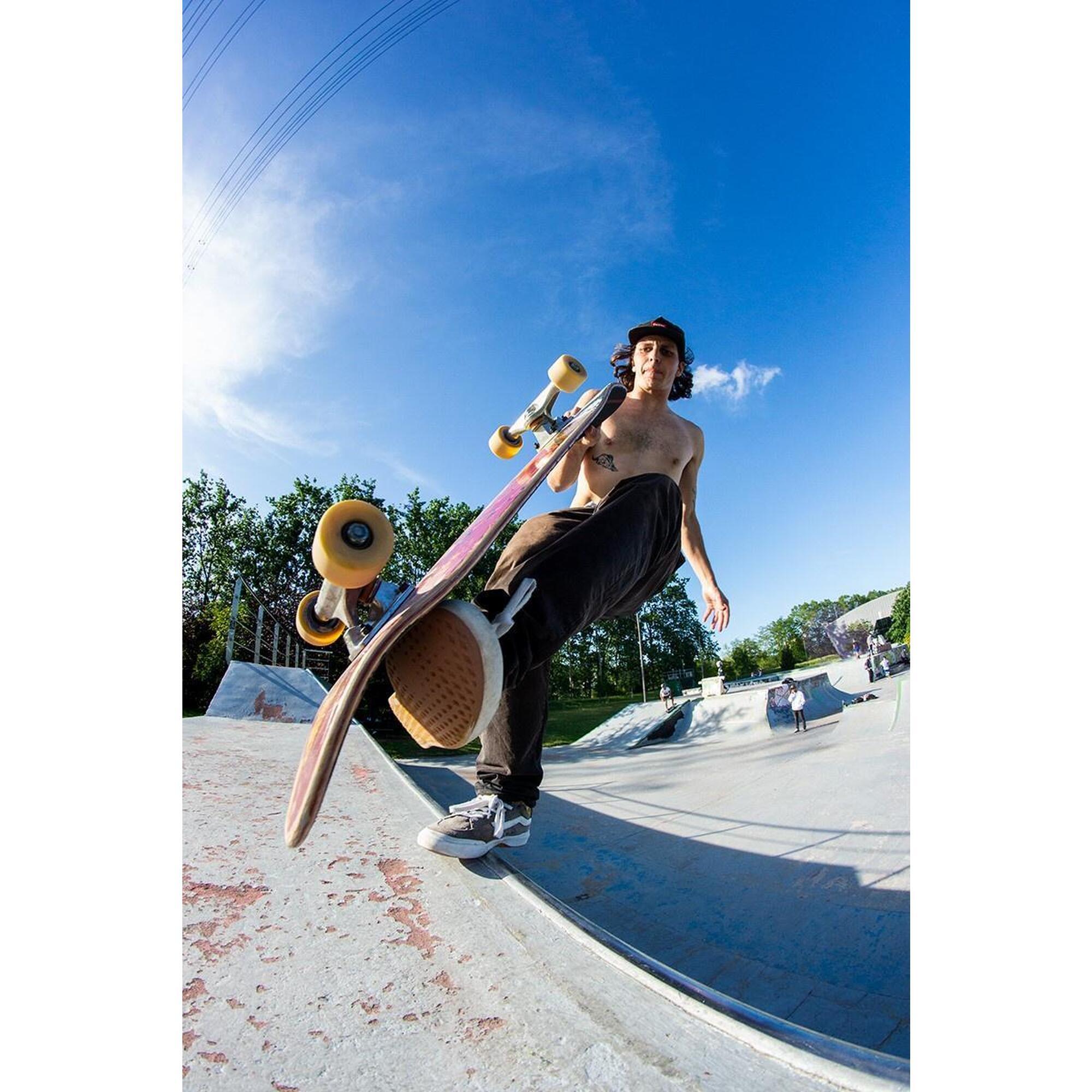 Skateboard MILLER COMMUNITY Erable 31,75"x8" avec étui MILLER offert