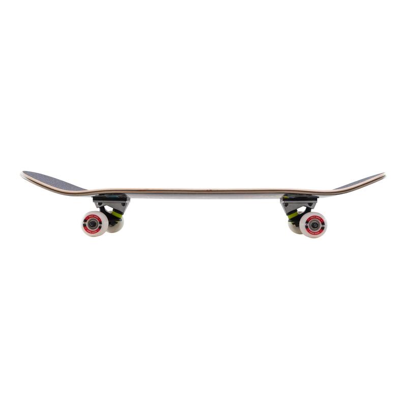 Skateboard MILLER COMMUNITY Erable 31,75"x8" avec étui MILLER offert