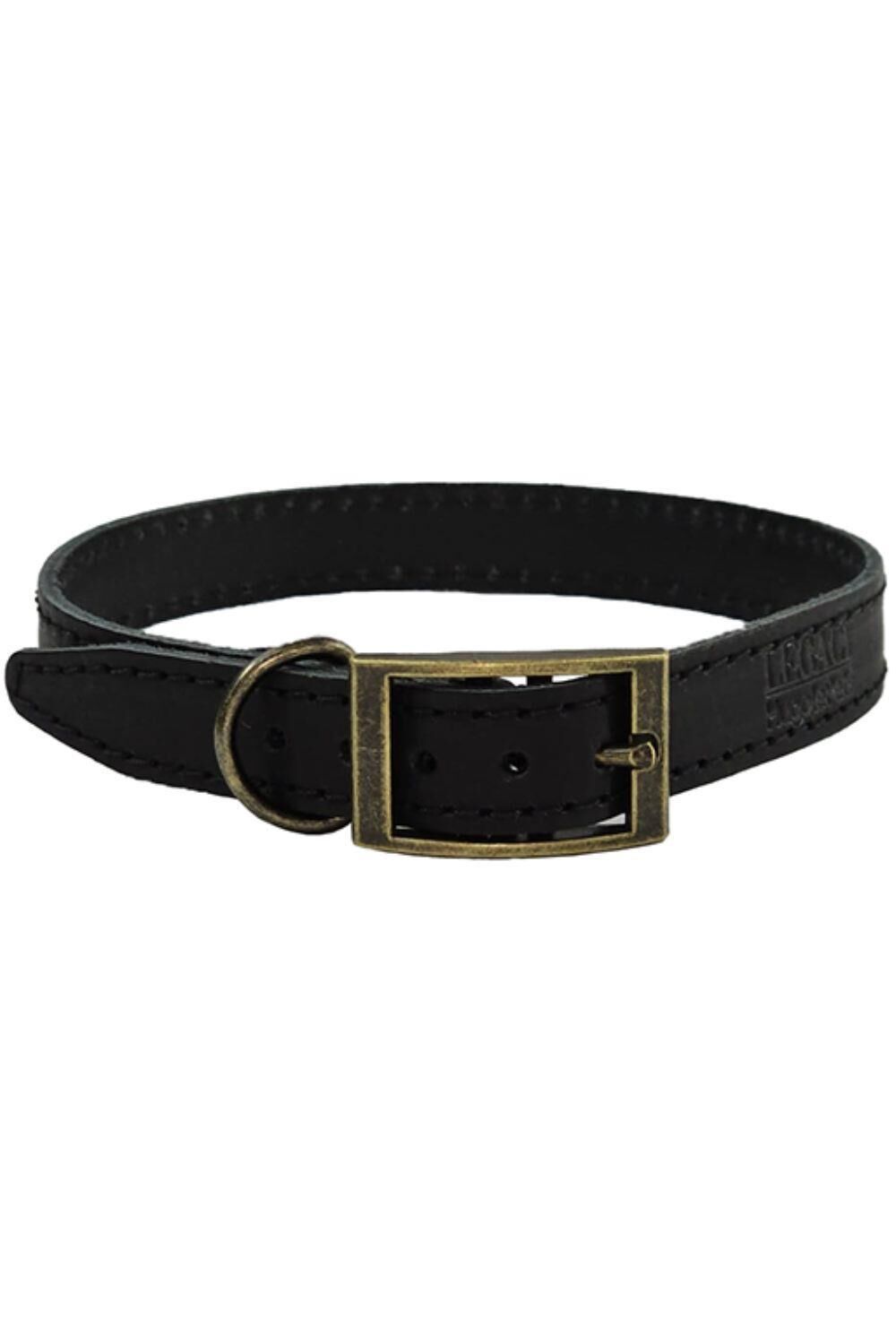 HUGGLEPETS HugglePets Legacy Leather Dog Collar