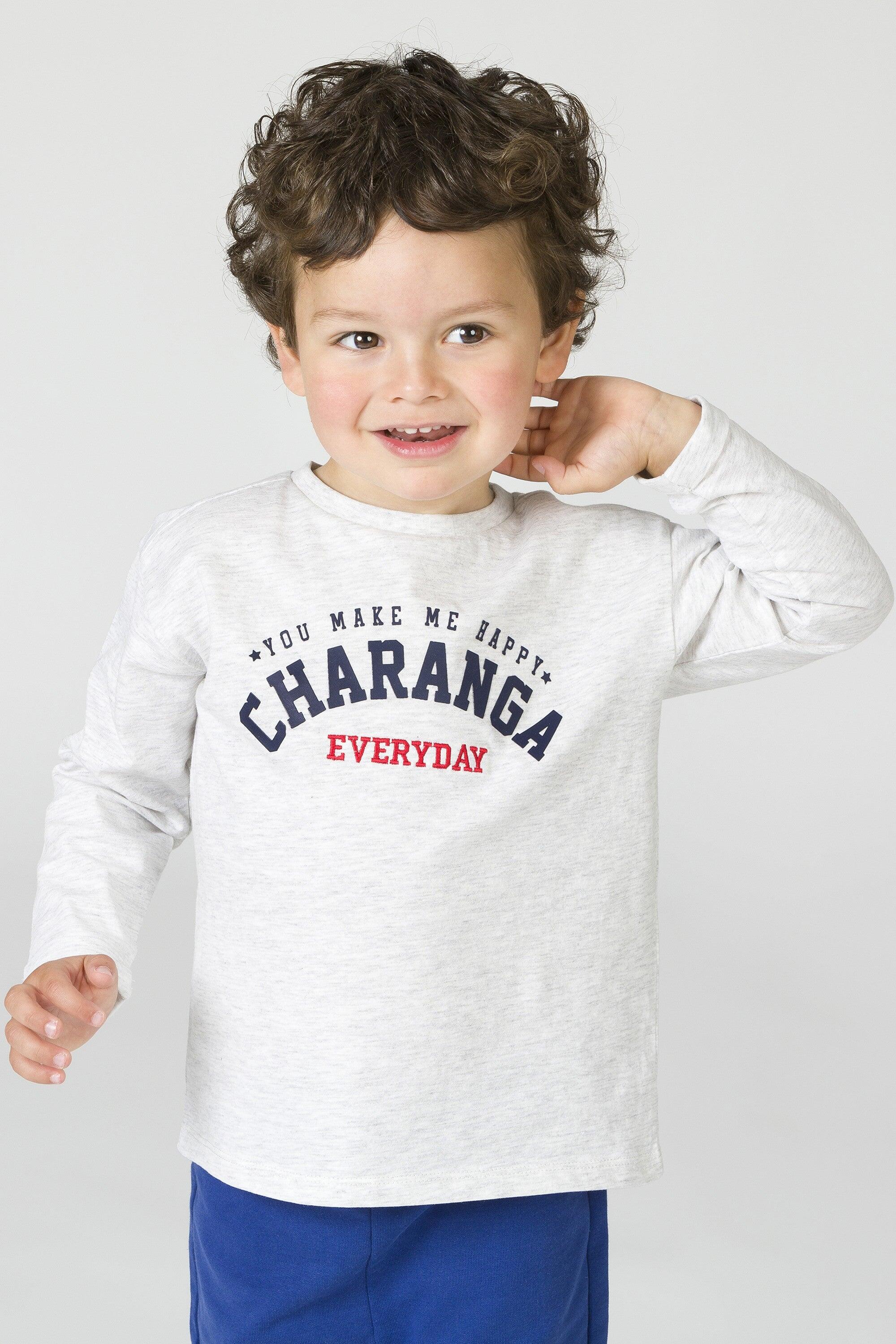 Camiseta bebé niño gris manga larga 4/5