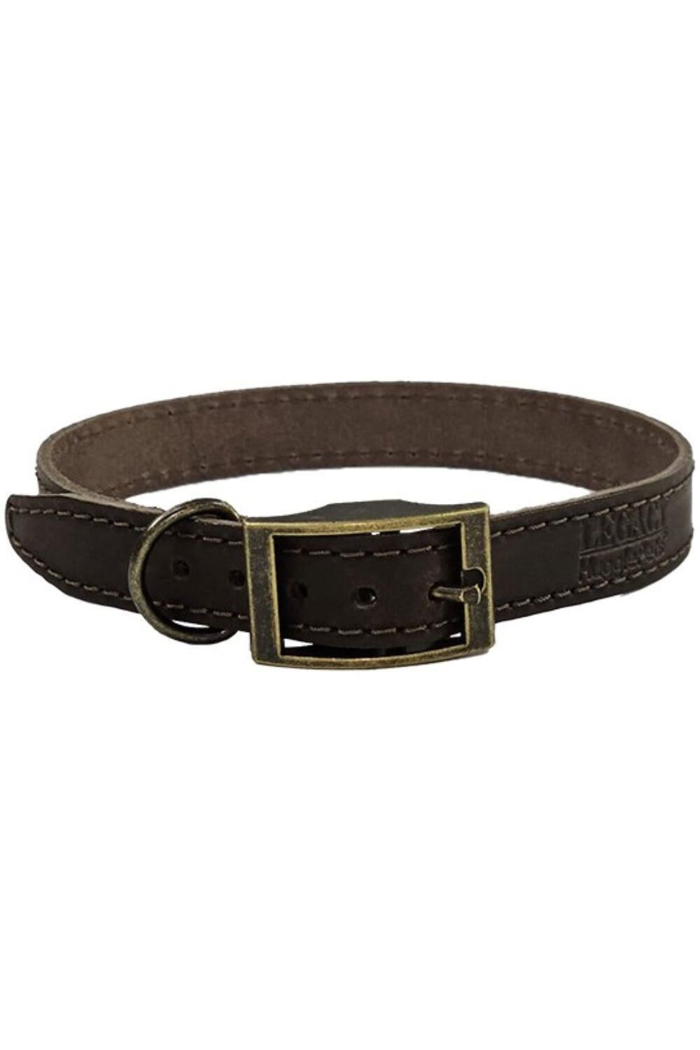 HUGGLEPETS HugglePets Legacy Leather Dog Collar