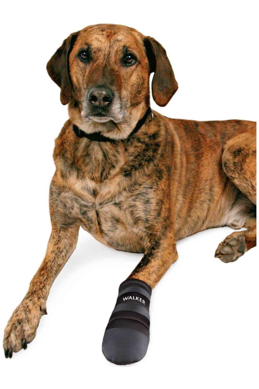 Trixie Walker Care Protective Dog Boots 5/6