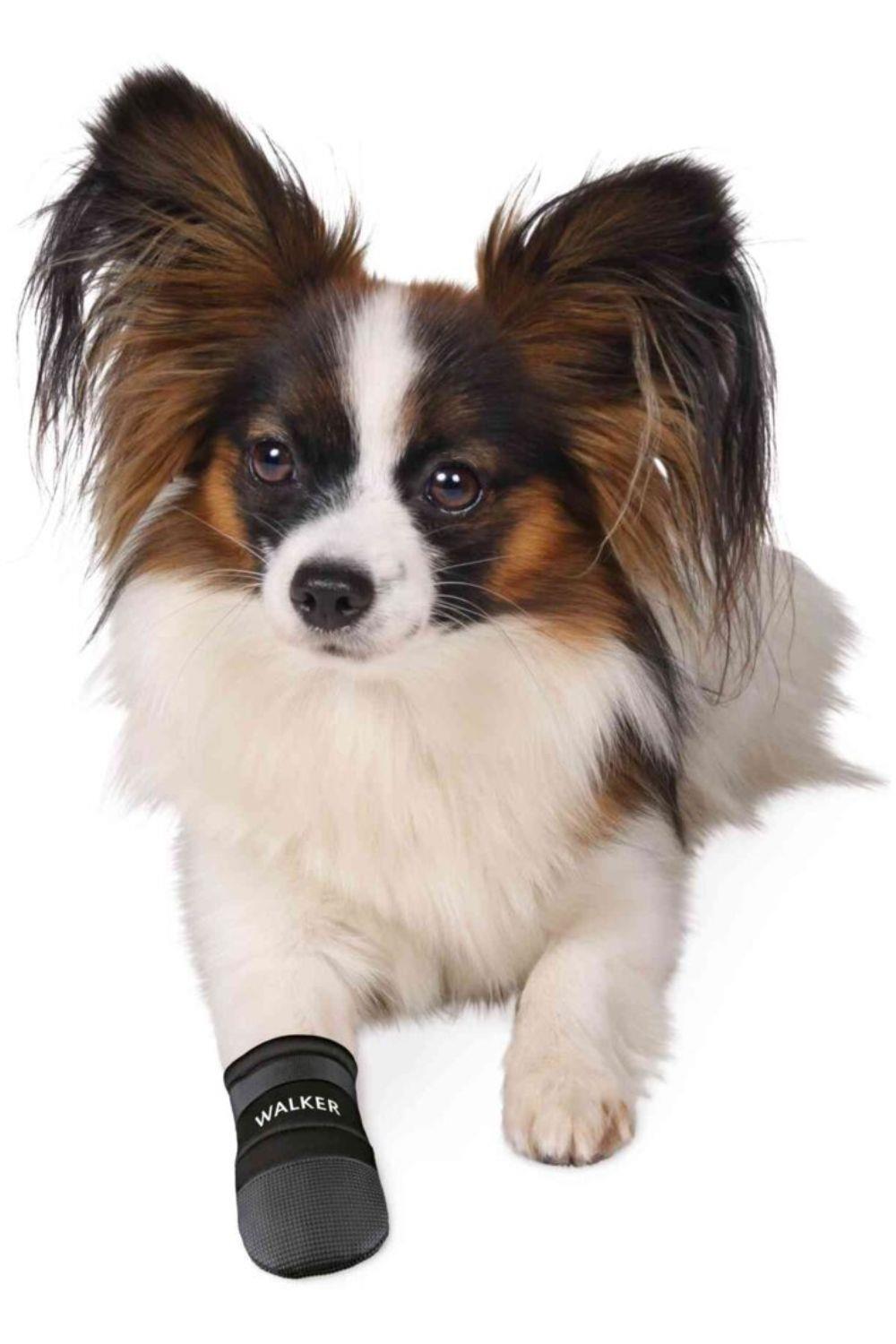 Trixie Walker Care Protective Dog Boots 3/6