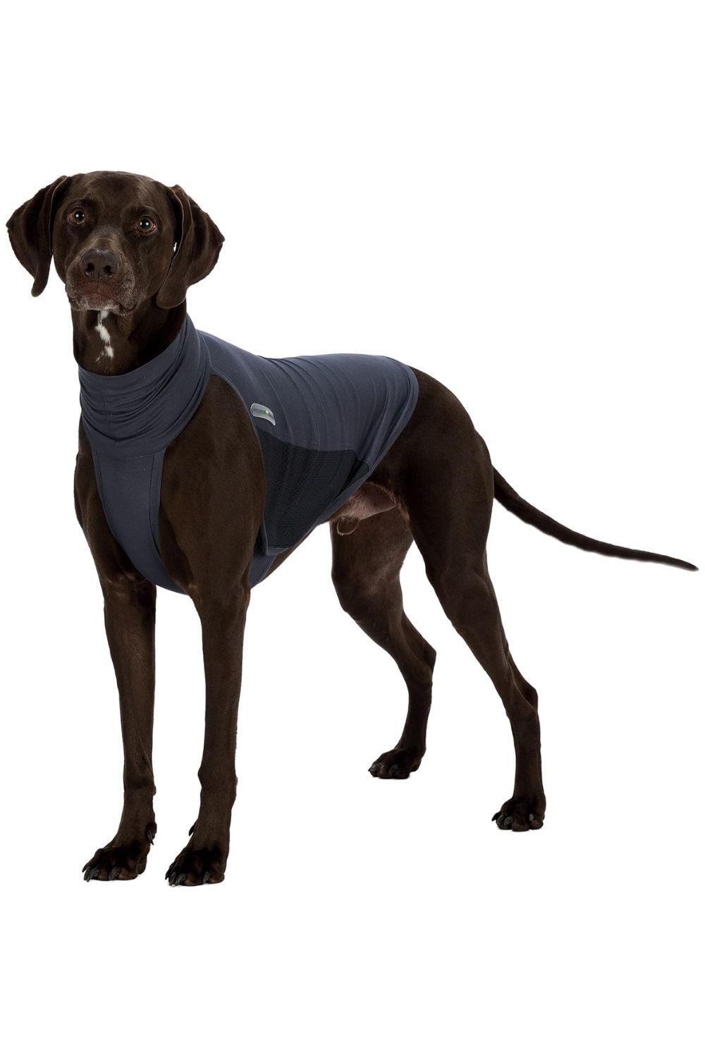 Trixie Insect Shield Dog Vest 1/2