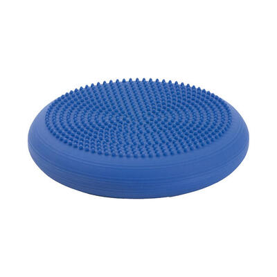 Dynair Ballkissen Senso, 33 cm Terra Functional Training Unisex Terra