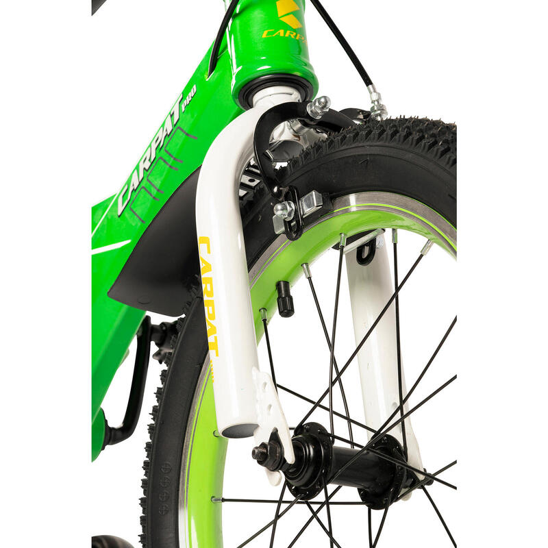 Bicicleta Copii 4-6 ani Carpat PRO C16119C 16", Verde/Alb