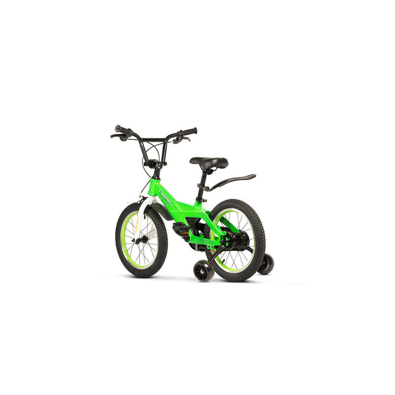 Bicicleta Copii 4-6 ani Carpat PRO C16119C 16", Verde/Alb