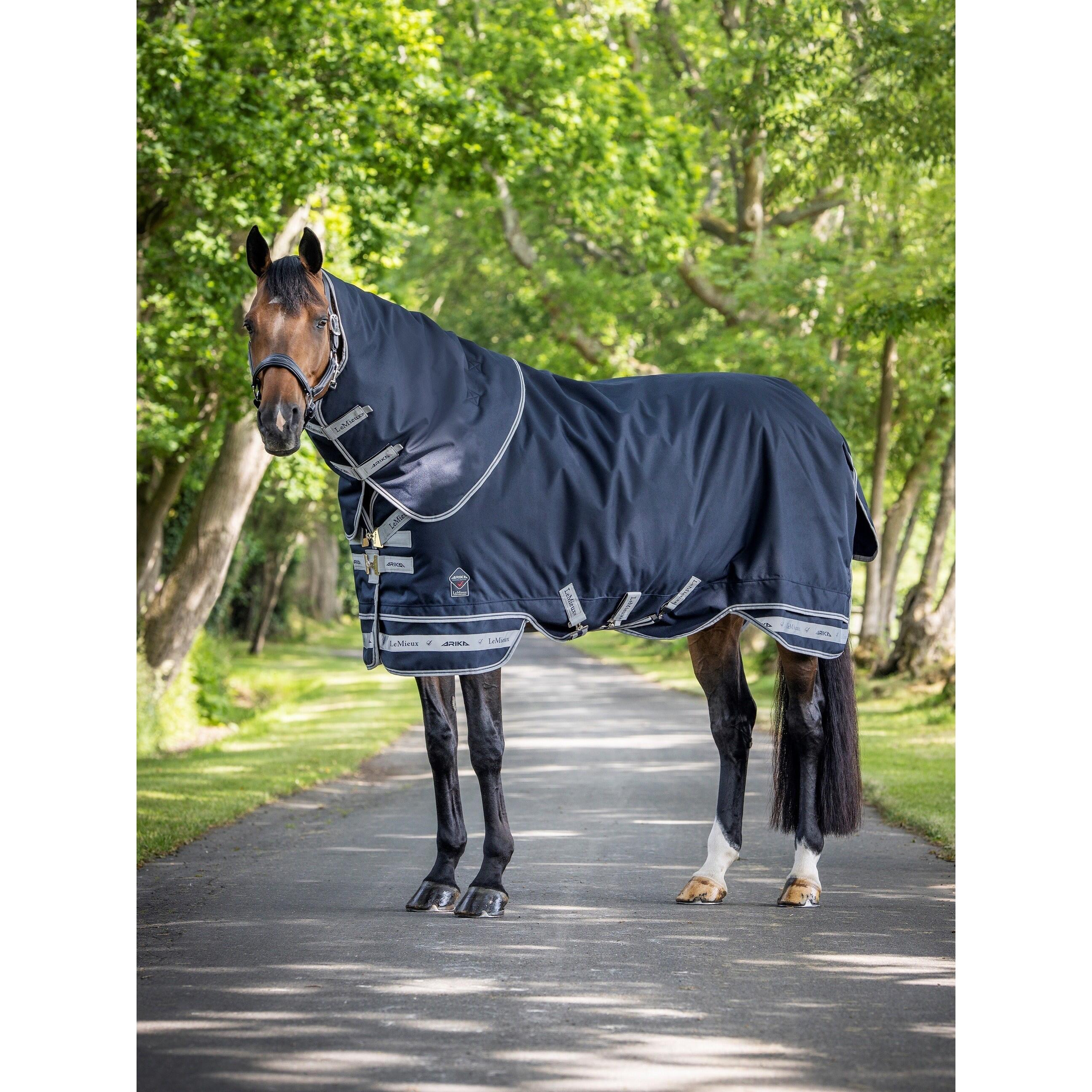 Outdoor paardendeken LeMieux Arika 100g 3/4