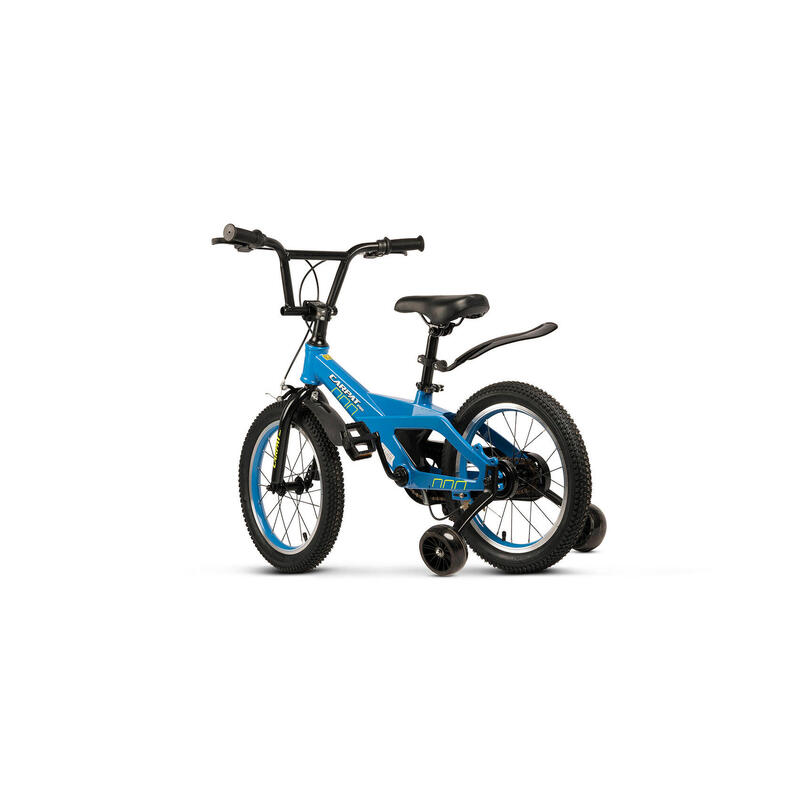 Bicicleta Copii 4-6 ani Carpat PRO C16119C 16&quot;,  Albastru/Alb