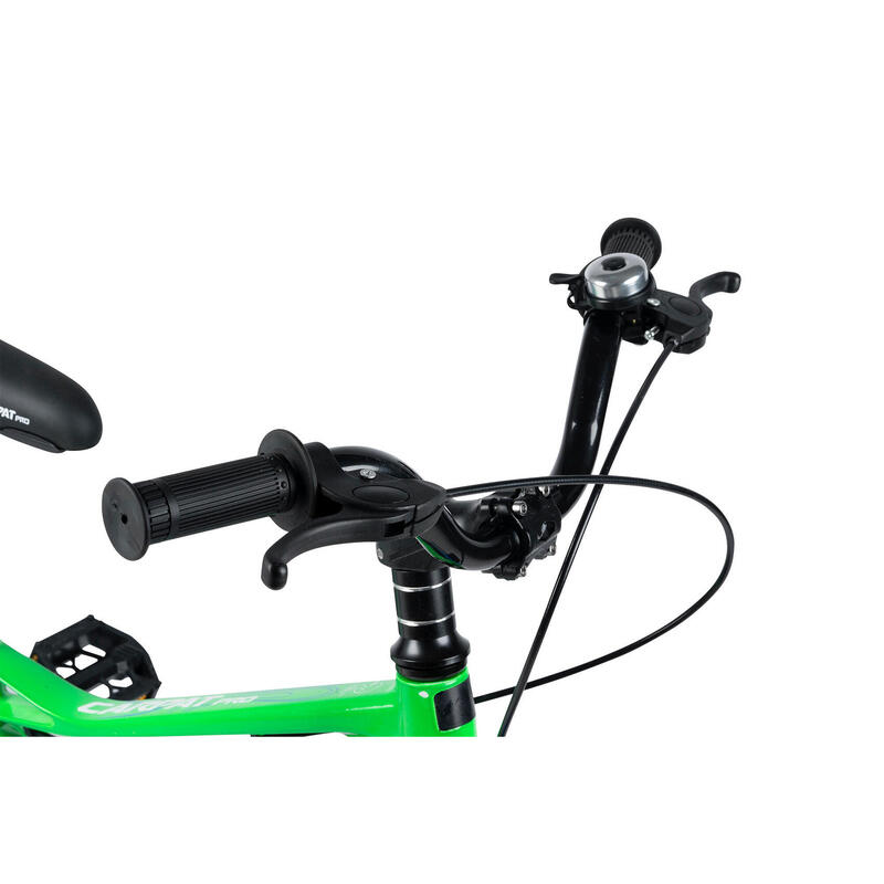 Bicicleta Copii 5-7 ani Carpat PRO C18144B 18" Verde/Albastru