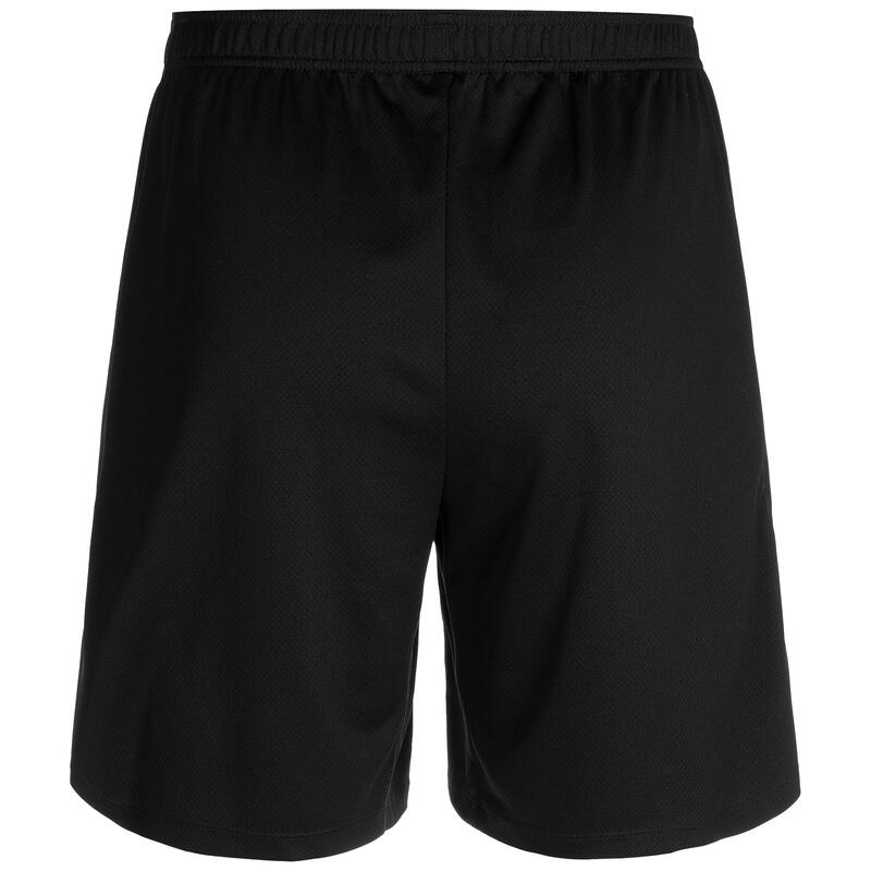 Trainingsshorts Dri-FIT Strike 24 Herren NIKE