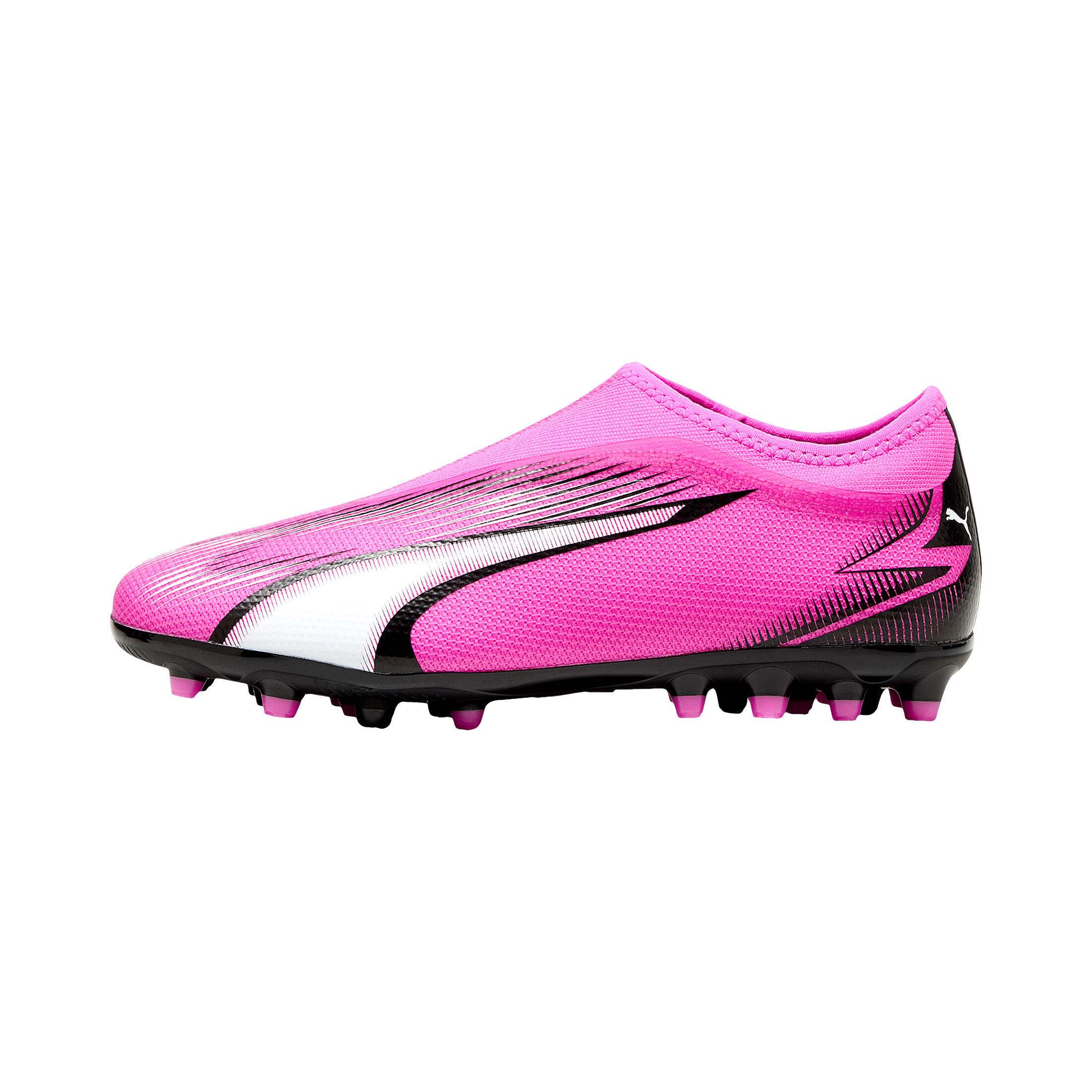 PUMA picture