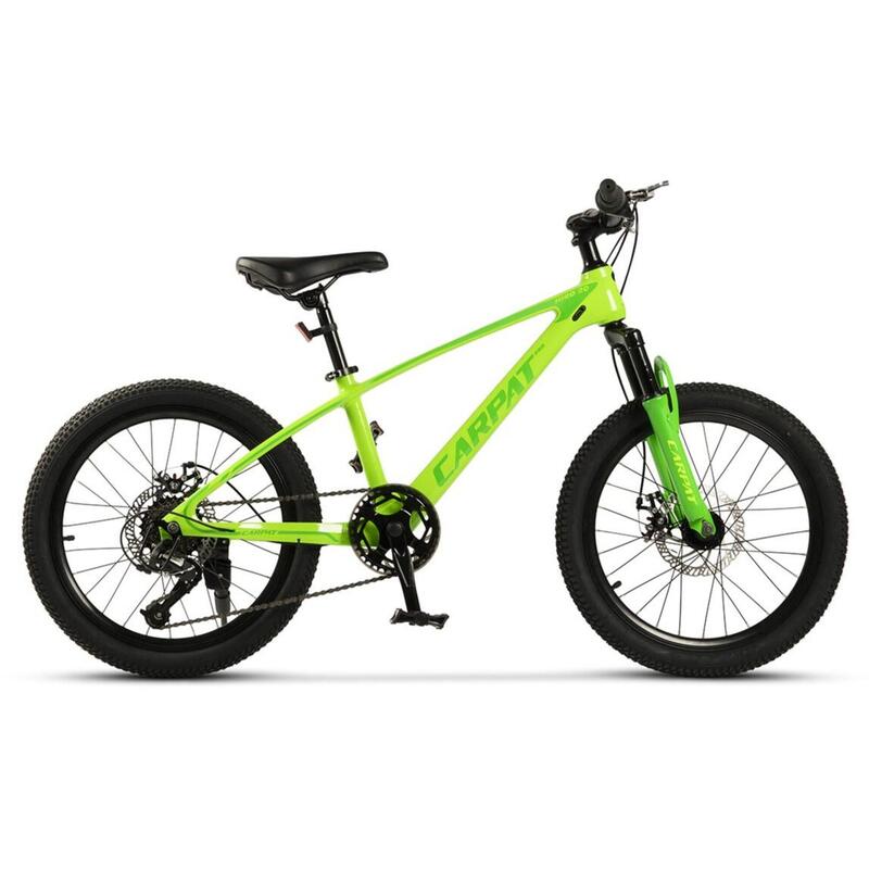 Bicicleta Copii MTB Carpat Hiro 20&quot; C20342A, Verde