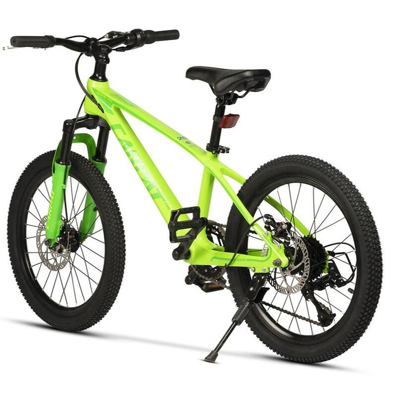 Bicicleta Copii MTB Carpat Hiro 20&quot; C20342A, Verde