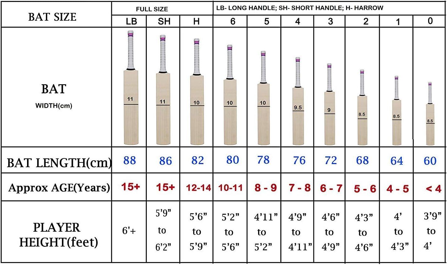 SS Josh Grade 4 Kashmir Willow Bat 5/5