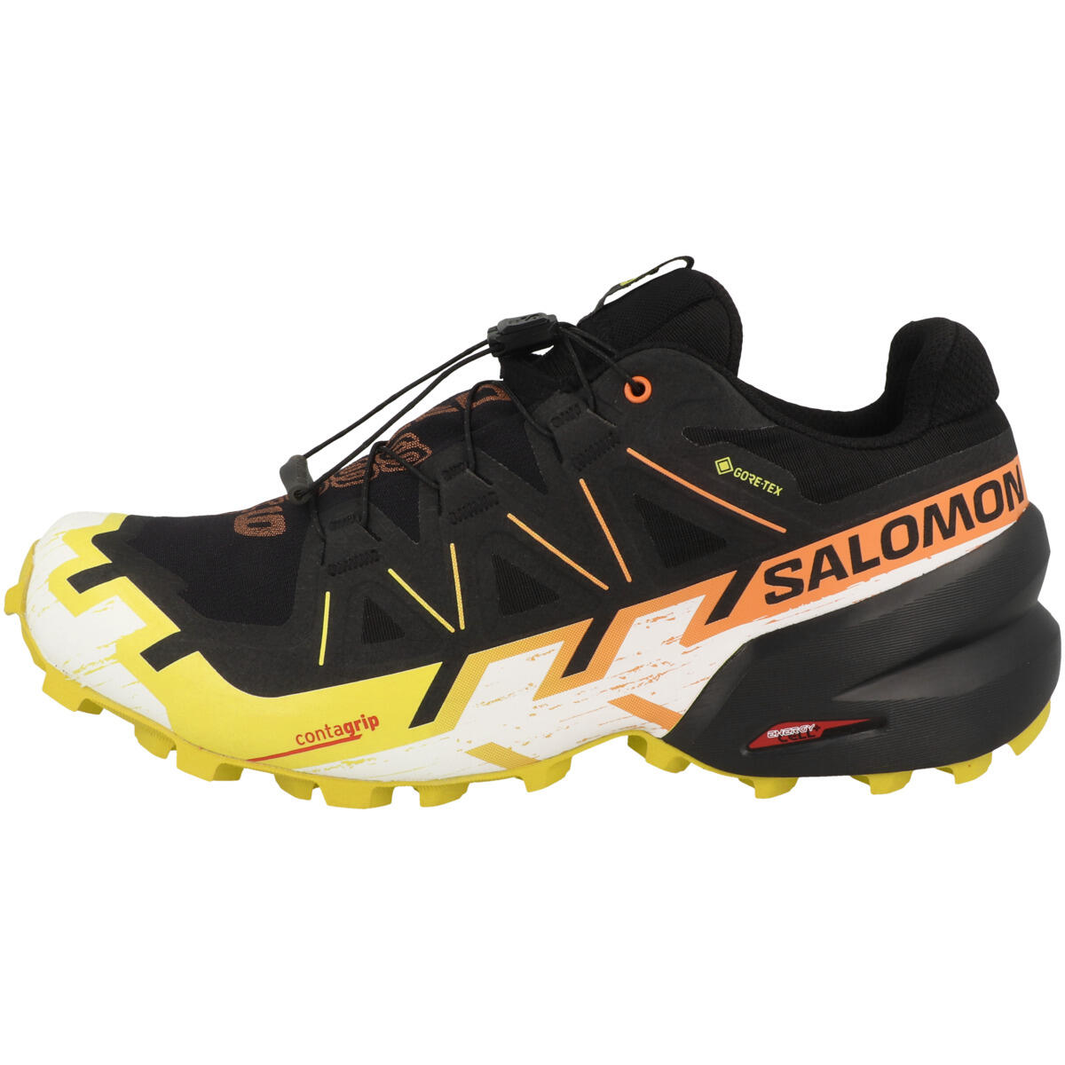 SALOMON picture