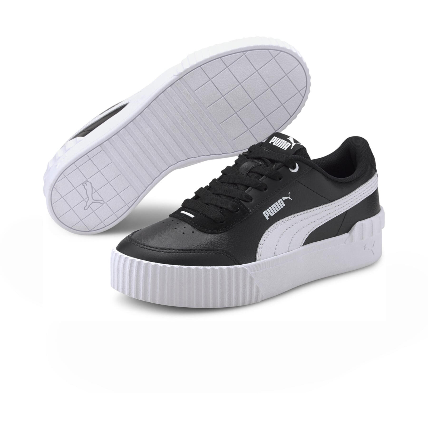 PUMA picture