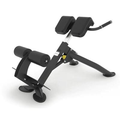 Evolve fitness pr-220 hyperextension bench
