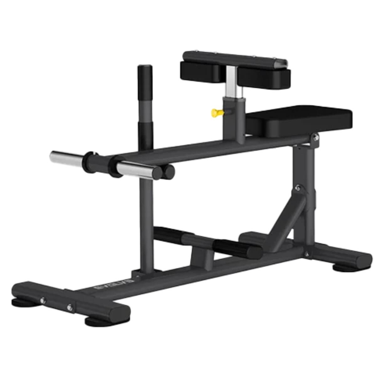 EVOLVE Macchina per sollevare i polpacci da seduti - Evolve Fitness EC-011