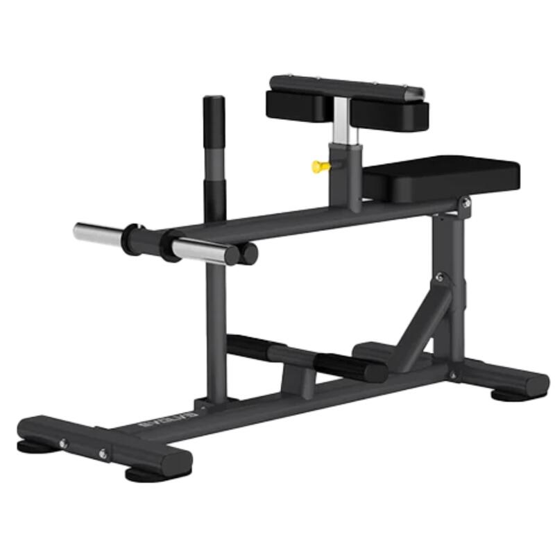 Sitzende Wadenhebemaschine - Evolve Fitness EC-011 Plate Loaded