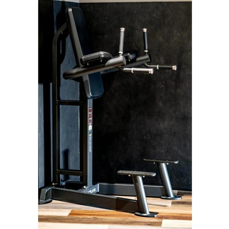 Evolve Fitness PR-215 - Power Tower Station verticale de levage des genoux