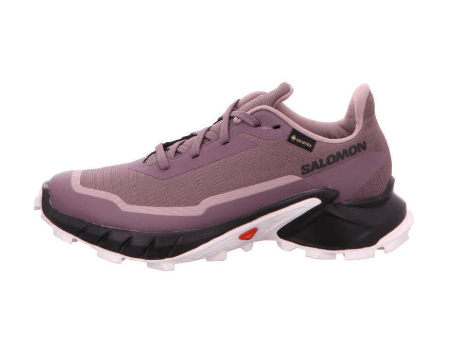 Buty do biegania damskie Salomon Alphacross 5 Gtx