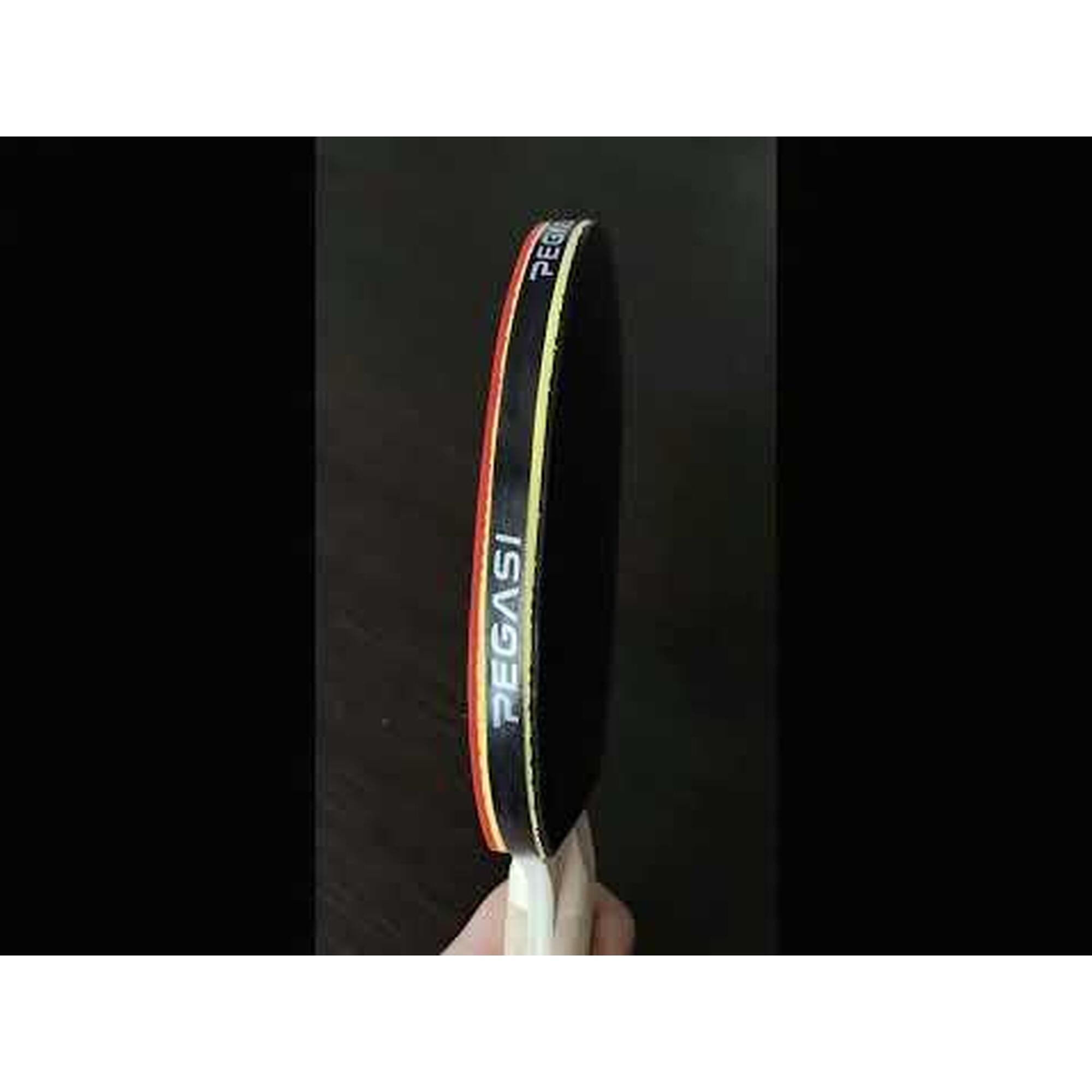 Table Tennis Bat Expert 6 étoiles
