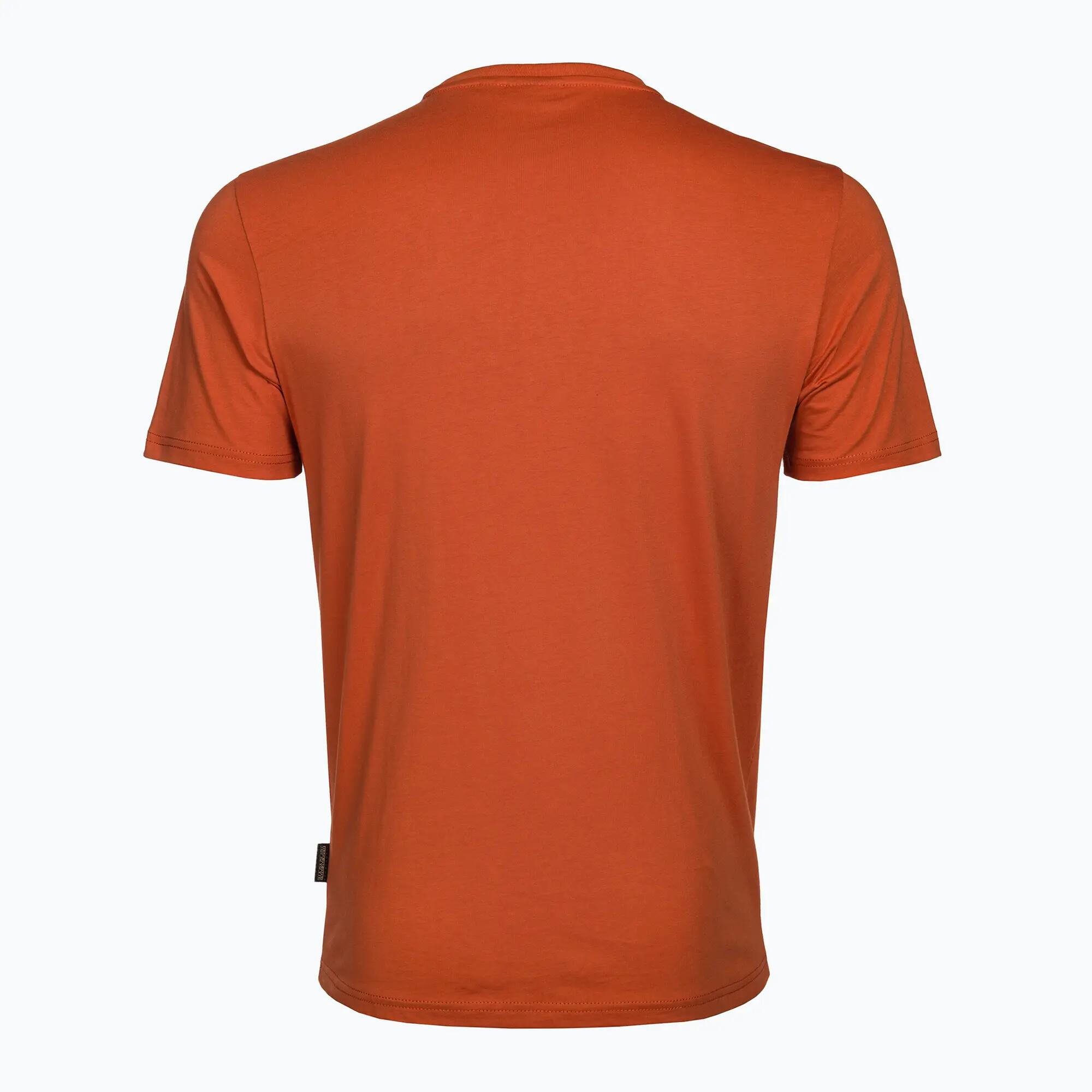 Tee Shirt Napapijri Salis SS Sum - Homme 2/5