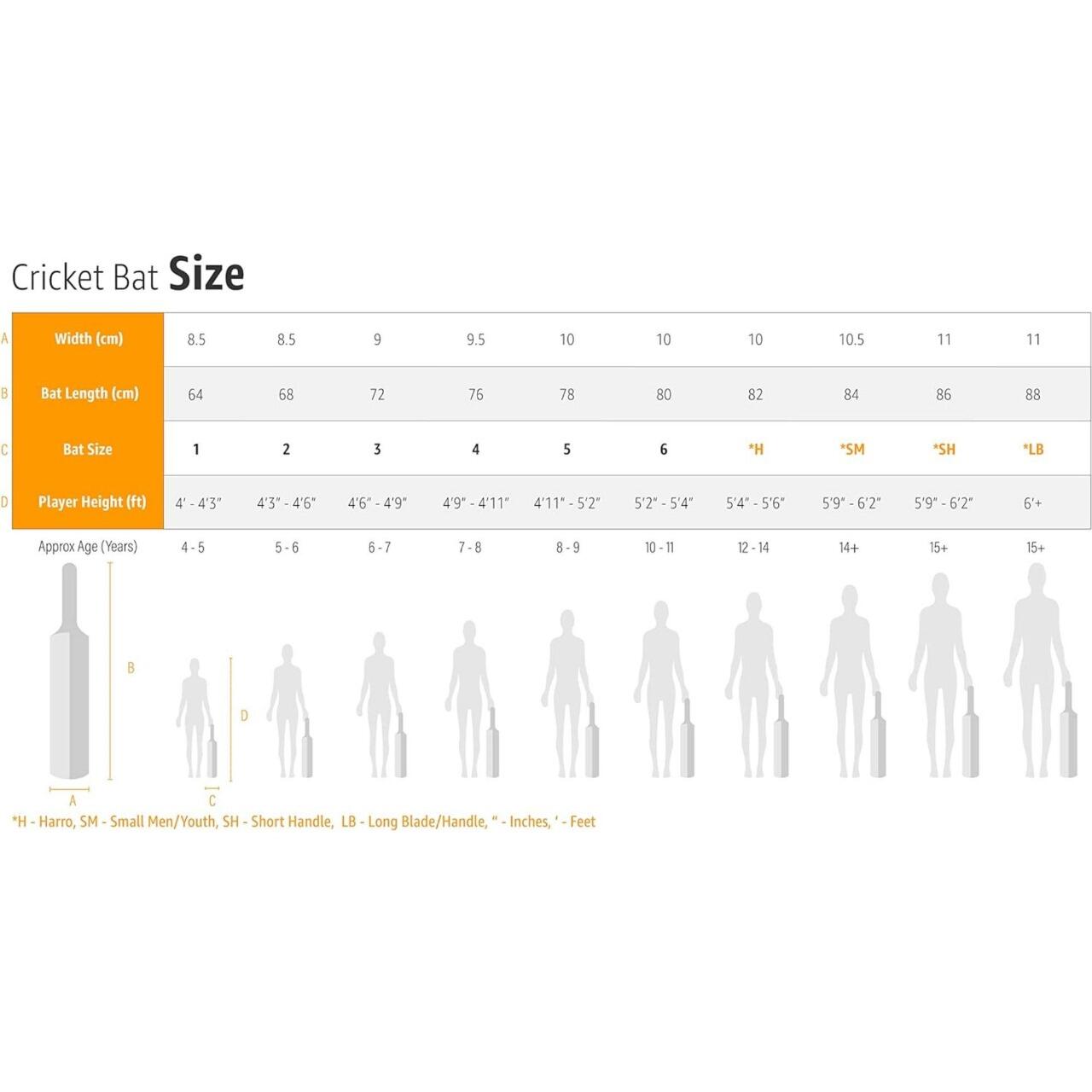 DSC Intense Assault Grade 5 English Willow Cricket Bat 6/6