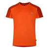 Tshirt DISCERNIBLE Homme (Orange vif / Thé rooibos)