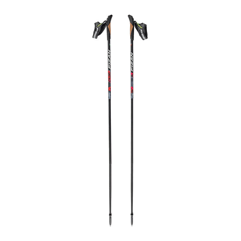 Bastoncini da nordic-walking Fizan Lite