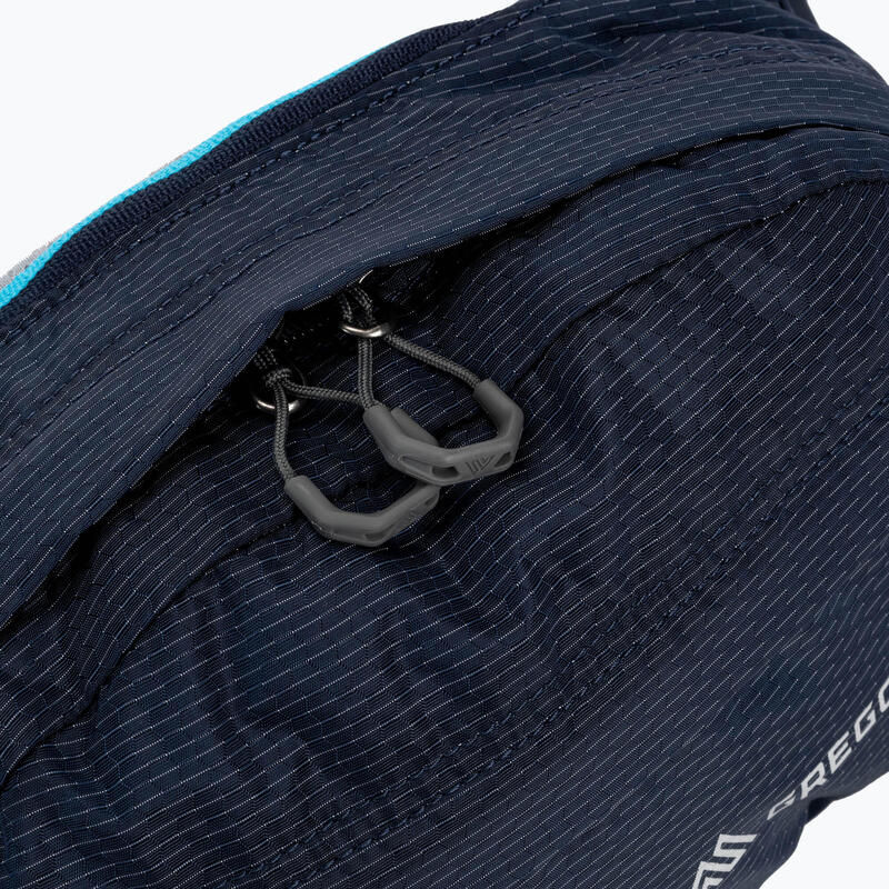 Nerka biodrówka Gregory Waistpack Nano 4