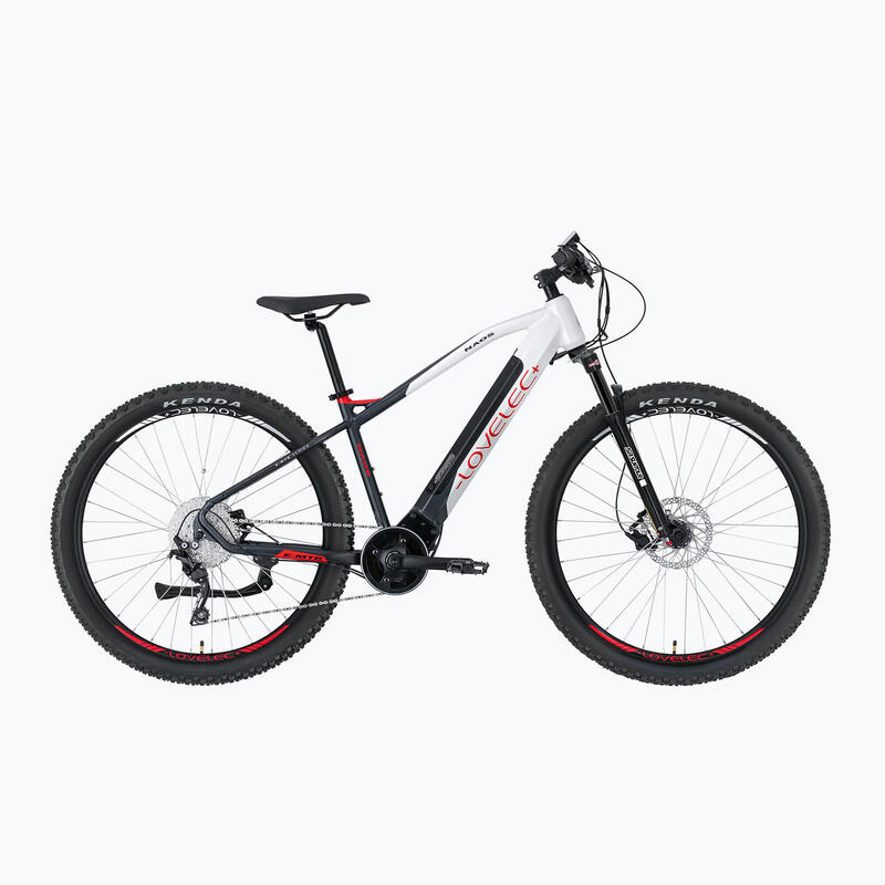 Bicicletta elettrica LOVELEC Naos 36V 15Ah 540Wh