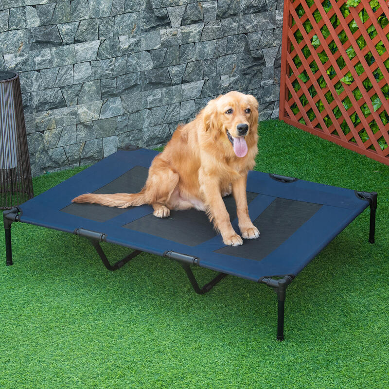 Cama Elevada para Perros PawHut 122x92x23 cm Azul