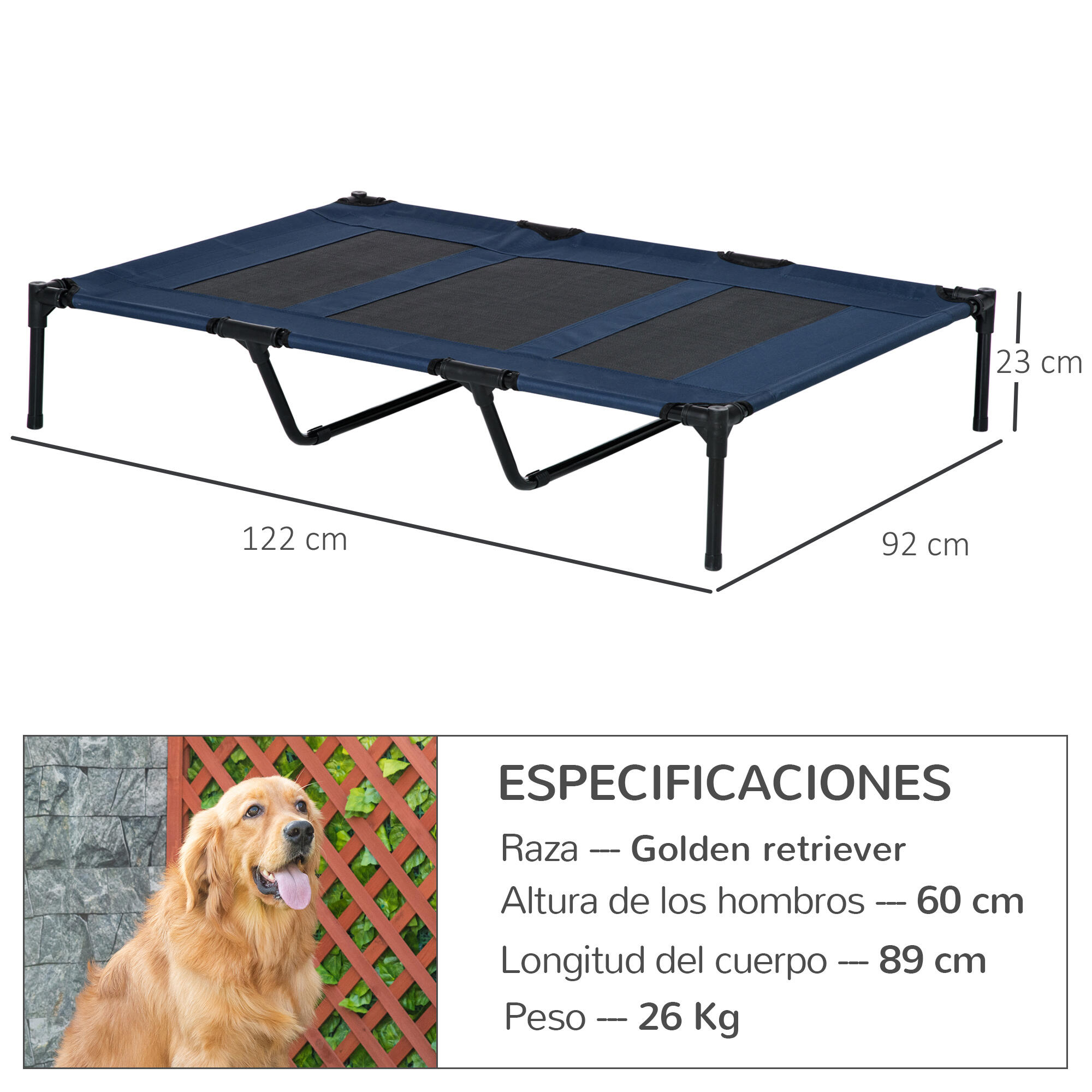 Cama Elevada para Perros PawHut 122x92x23 cm Azul 3/7