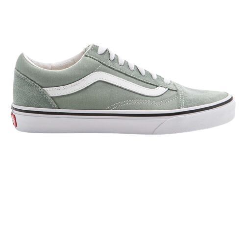 VANS picture