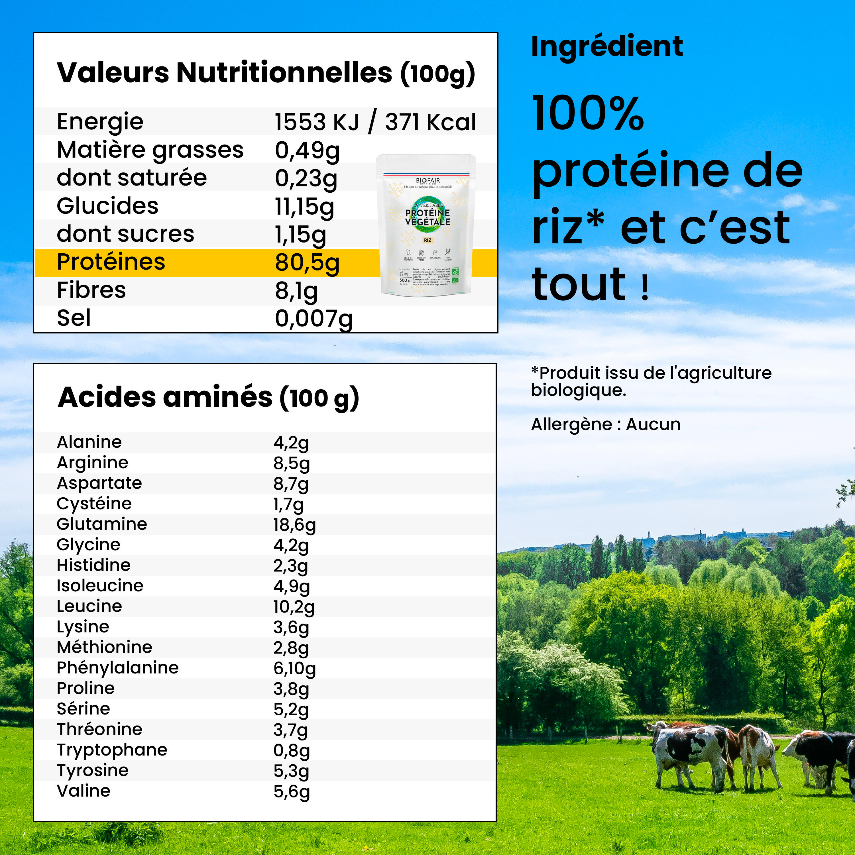 La véritable protéine végétale bio - Riz brun | 500g 3/6