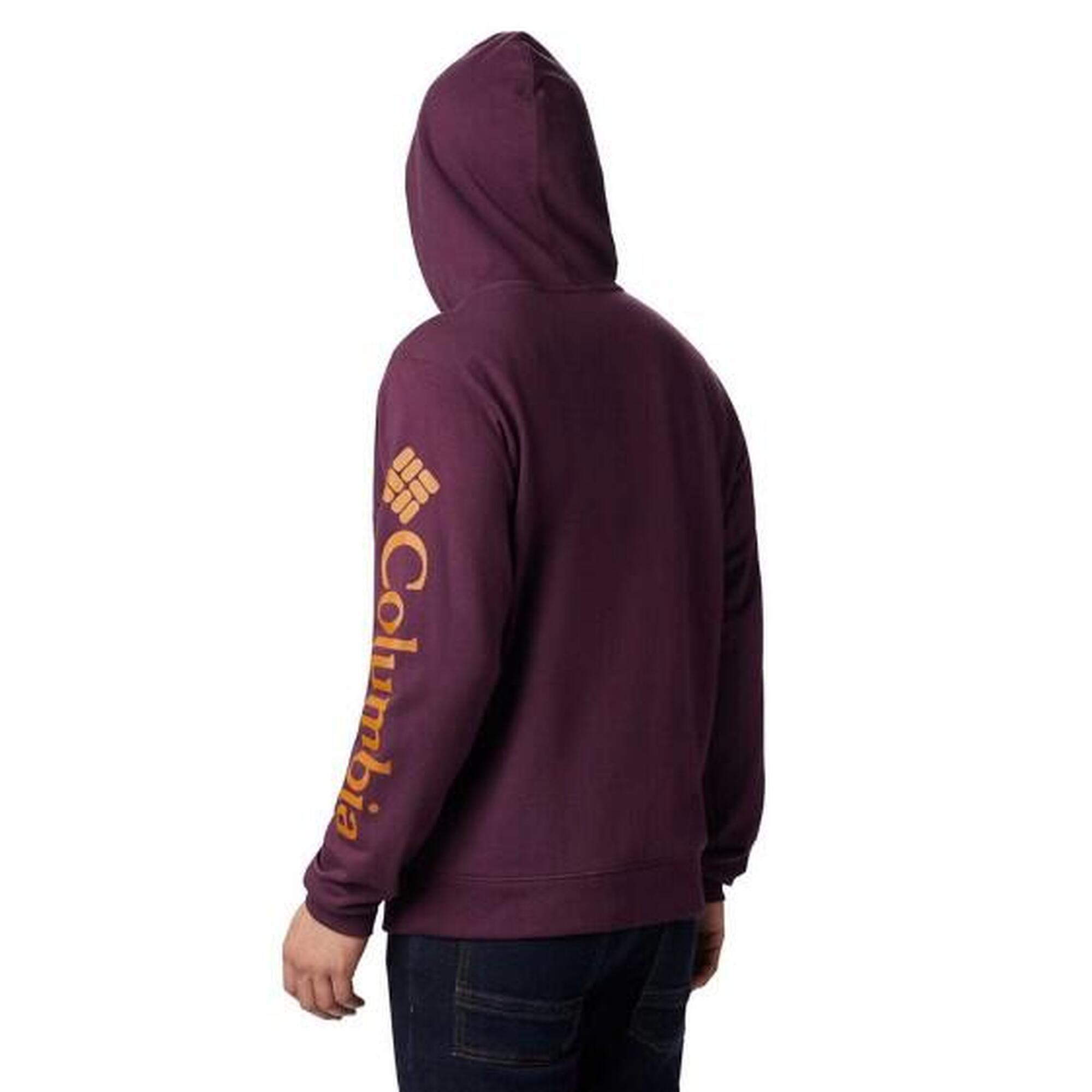 Viewmont II Sleeve Graphic Hoodie