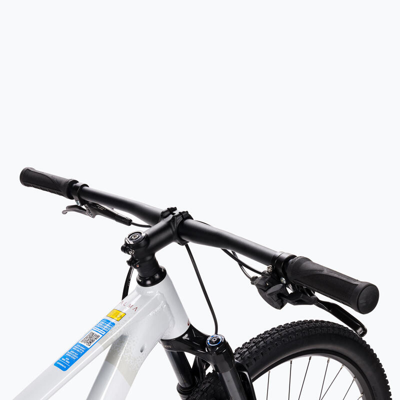 Orbea Alma H50 mountainbike