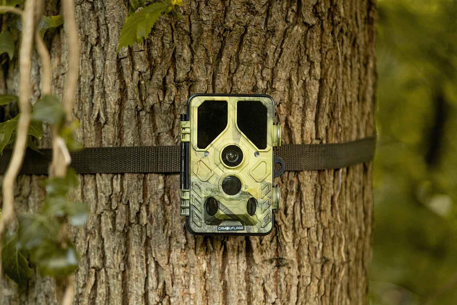 CAMÉRA DE CHASSE - PIÈGE PHOTO - CAMOUFLAGE EZ45 - ENVOI SUR SMARTPHONE 5/5